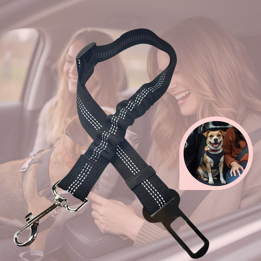 RideSafe™ Pet Seat Belt