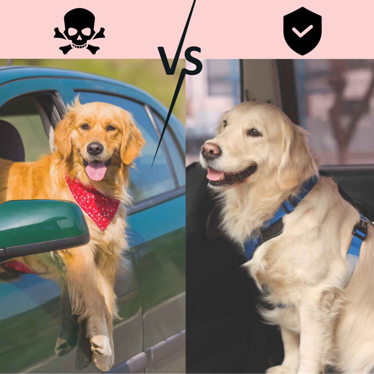 RideSafe™ Pet Seat Belt